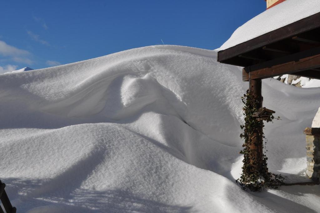 Alpen Apartments Austria Berwang Eksteriør bilde